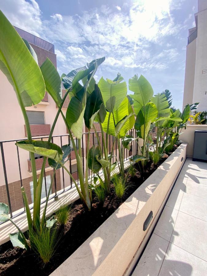 Hotel-Apartment With Big Terrace Palma di Maiorca Esterno foto
